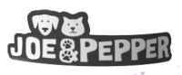 Joe & Pepper Cat
