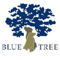 Blue Tree