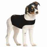 ZenDog Compression Shirt S