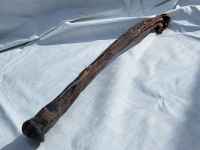 Pferdeziemer ganz M  ca 100-150g