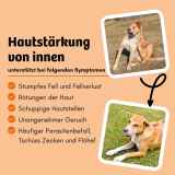 Trockenfutter-SkinHero - Fellpflege & Parasitenabwehr 900g
