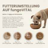 fungoVITAL WaldMenü 125g fungoVITAL WaldMenü 125g