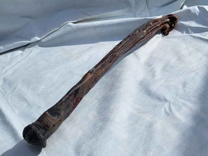 Pferdeziemer ganz M  ca 100-150g